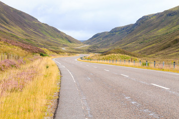 Scottish road trough countryside