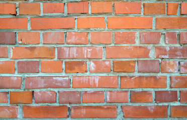 Fototapeta premium brick wall