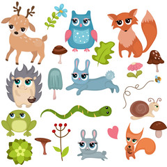 Forest animals.