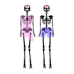 couple of skeletons with hearts. Flat illustration. Vector