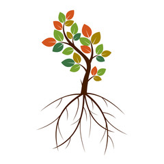 Color Tree and roots. Vector Illustration.