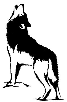 black and white paint draw wolf illustration