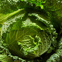 Savoy cabbage head
