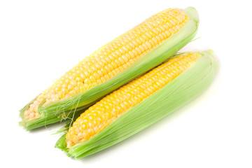 Three ear of corn with leaves isolated on white background