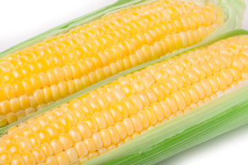 Two ear of corn with leaves isolated on white background
