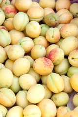 Apricot on the counter market as a background