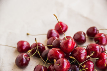 fresh harvest cherries