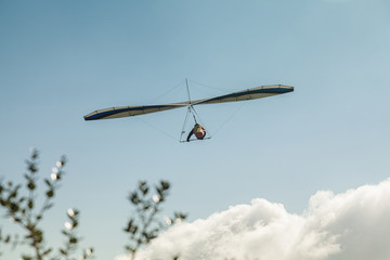 Hang glider