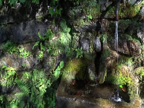 Standpipe pouring water into the woods