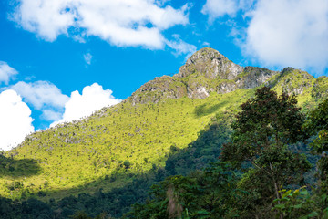 Forest landscape view of green mountains and blue sky with cloud