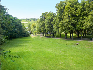 Park in Bad Mergentheim