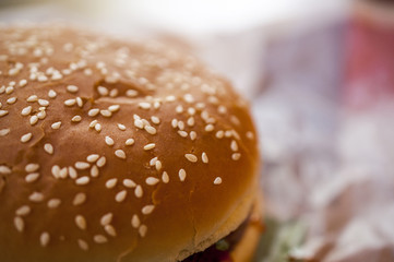 Top of the big Hamburger with sesame - macro food picture