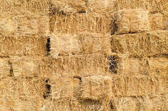 Stack of rice straw texture for background