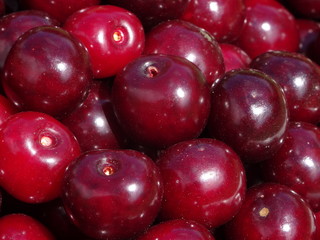 Red Cherries