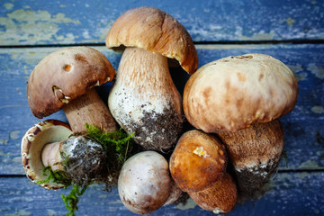 Boletus edulis (king bolete) on a wooden table