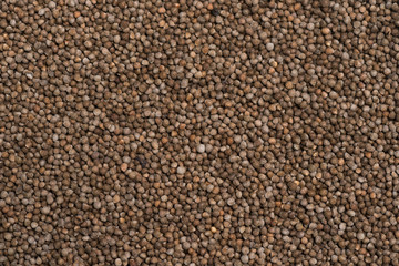 Aromatic Sesame seed