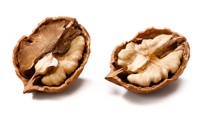 cracking walnuts on white