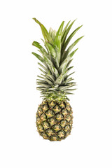 Fototapeta premium Pineapple isolated on white background with clipping path