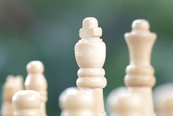 Schachfiguren im Grünen Close-up © megakunstfoto