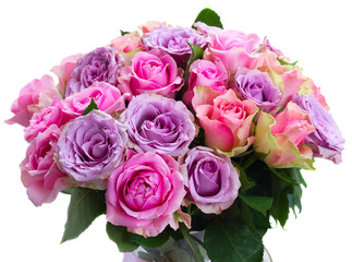 bouquet of fresh pink and violet fresh roses closeup isolated on white background