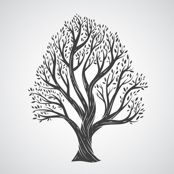 Hand draw tree with leaves