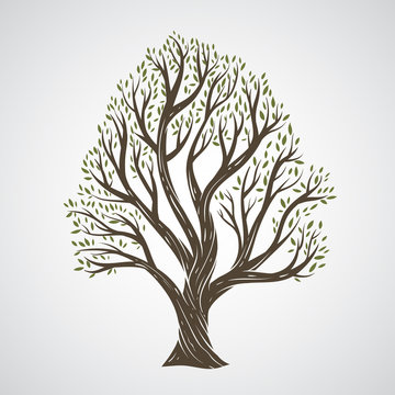 Hand draw tree with leaves