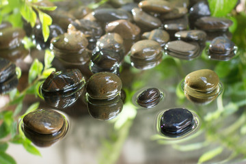 wet pebble stone reflection on water
