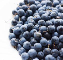 The small ripe plums close up isolated on the white background