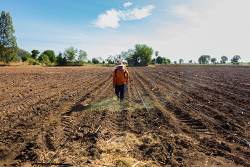 the man spray a weedkiller