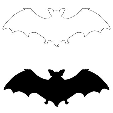 bat black silhouette vector illustration set