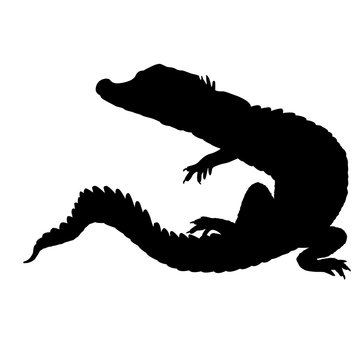 Crocodile black silhouette 
