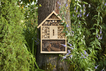 Insect house in the garden, protection for insects, insekt hotel.