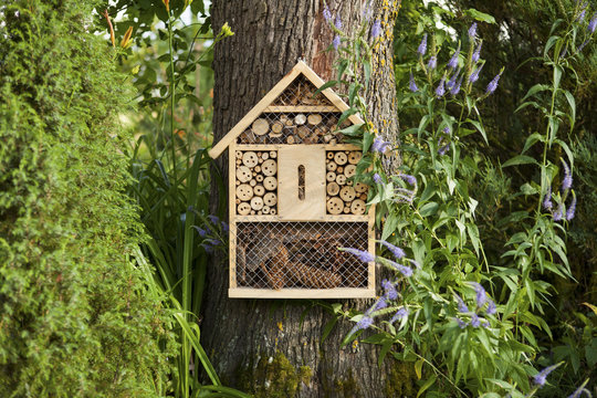 Insect house in the garden, protection for insects, insekt hotel.