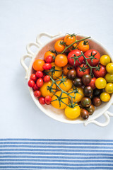 vibrant selection of tomatoes
