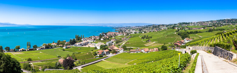 Fototapeta na wymiar Vineyards in Lavaux region - Terrasses de Lavaux terraces, Switz