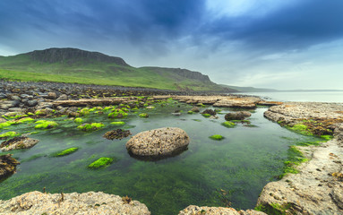 Fototapeta na wymiar Low Tide Stones Covered in Green Moss - South Coast of the Isle