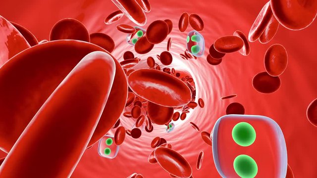 Animation of drug molecules floating in the Bloodstream.
