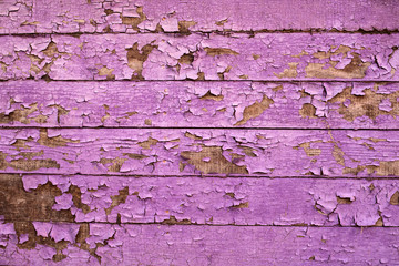 Wood Background Texture. Old boards