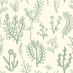 
Seamless pattern of wild herbs and flowers, hand-drawn.