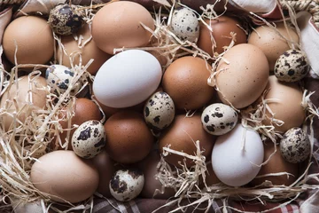 Keuken spatwand met foto Different kind of raw eggs in a basket © Silvia Pascual