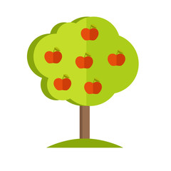 Apple Tree vector illustration in flat style design. 