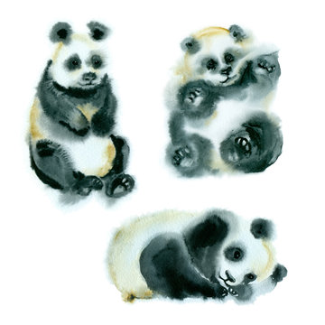 Watercolor painting. Sketch of three little pandas on a white background.