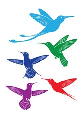 Obraz na płótnie Canvas The figure shows a bird colibri