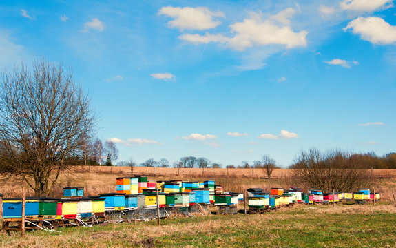 Colorful Bee Hives With Bees Swarming In The Blue Sky