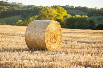 Hay bales