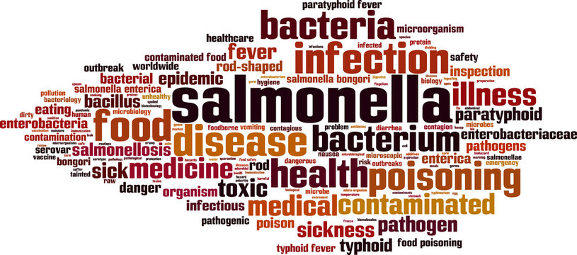 Salmonella word cloud concept. Vector illustration
