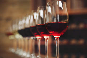 Many glasses of different wine in a row on bar counter