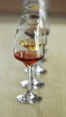 Many glasses of different wine in a row on a table
