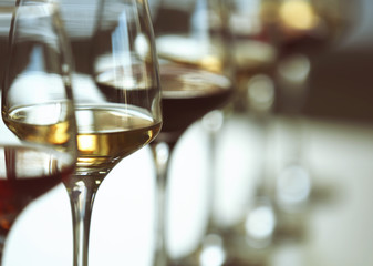 Many glasses of different wine in a row on a table