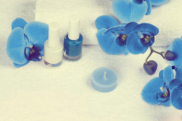 Place for manicure, decorated with blue orchid flower